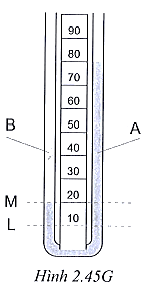 Một bình chữ U chứa các chất lỏng A và B không hòa tan, không phản ứng với nhau