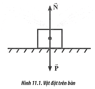 Theo định luật III Newton, các vật tương tác với nhau bằng các cặp lực trực đối