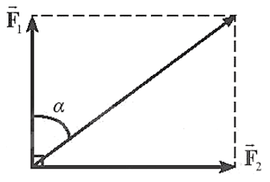 Hai lực có giá đồng quy vuông góc có độ lớn các lực thành phần (ảnh 2)