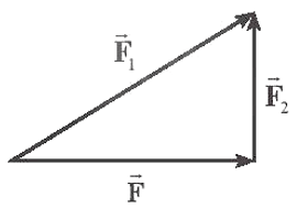 Hình vẽ nào sau đây biểu diễn đúng lực tổng hợp của hai lực (ảnh 3)