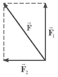 Hình vẽ nào sau đây biểu diễn đúng lực tổng hợp của hai lực (ảnh 4)