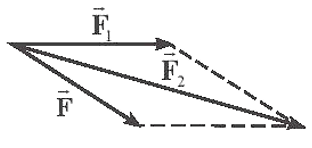 Hình vẽ nào sau đây biểu diễn đúng lực tổng hợp của hai lực (ảnh 5)