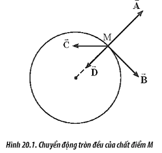 Một chất điểm M thực hiện chuyển động tròn đều như Hình (ảnh 2)