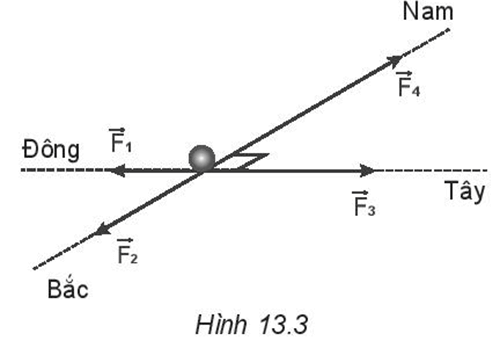 Một vật chịu tác dụng đồng thời của bốn lực như Hình 13.3. Độ lớn của các lực lần lượt là F1 = 10N