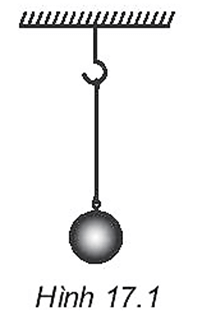 Một vật nặng có khối lượng 0,2 kg được treo vào một sợi dây không dãn (Hình 17.1)