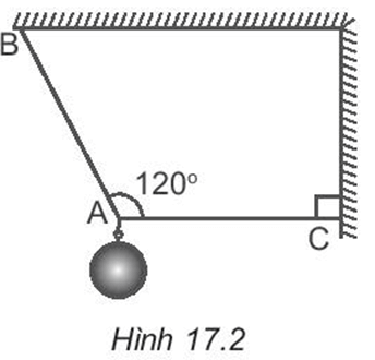 Một vật nặng có khối lượng 5 kg được treo vào các sợi dây không dãn như Hình 17.2