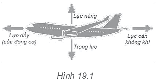 Trên Hình 19.1 biểu diễn các vectơ lực tác dụng lên một máy bay đang bay ngang
