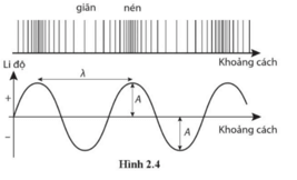 Một sóng dọc khi lan truyền trong không khí gây ra sự giãn/nén của các phân tử khí theo phương truyền sóng