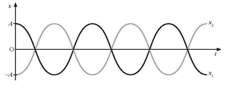 Cho hai vật thực hiện dao động điều hoà cùng biên độ, cùng tần số và dao động ngược pha với nhau
