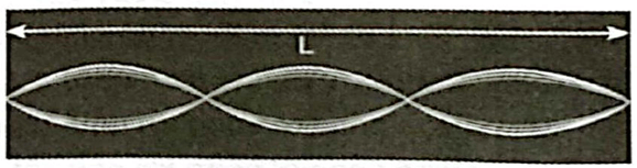 Hình 13.1 mô tả sóng dừng trên một sợi dây có chiều dài L = 0,9m