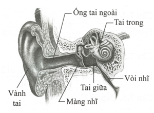 Mùa hè vừa qua Minh được bố cho đi du lịch tại Phú Quốc bằng đường hàng không