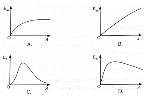 Đồ thị nào dưới đây mô tả gần đúng mối liên hệ giữa năng lượng liên kết riêng