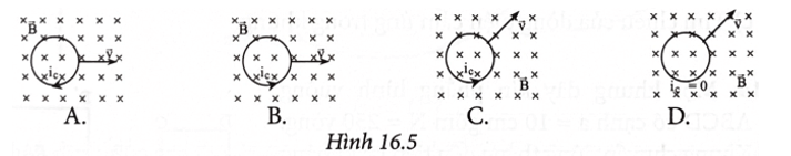 Trường hợp nào trong Hình 16.5 là đúng khi cho vòng dây tịnh tiến với vận tốc v trong từ trường đều