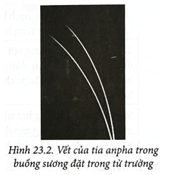 Hình 23.2 là ảnh chụp hai vết của tia alpha xuất phát từ một mẫu phóng xạ kích thước rất nhỏ được đặt trong buồng sương