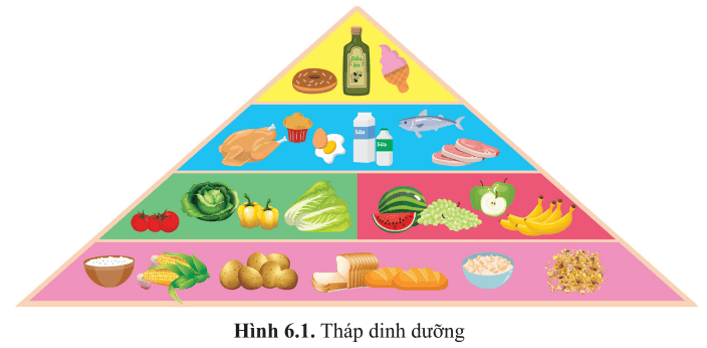 Các loại thực phẩm ở bốn tầng trong tháp dinh dưỡng (hình 6.1) cung cấp
