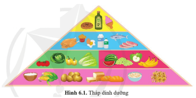 Trong tháp dinh dưỡng của người (hình 6.1), nhóm thực phẩm nào chiếm tỉ lệ cao nhất