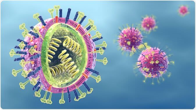 Lý thuyết Sinh 10 Kết nối tri thức Bài 24: Khái quát về virus