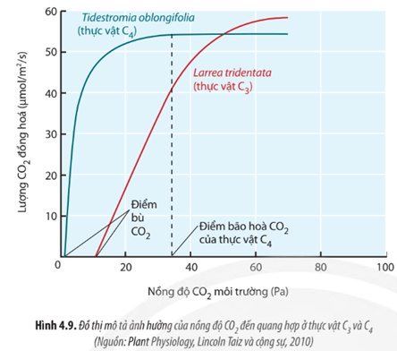 Quan sát Hình 4.9, hãy phân tích sự ảnh hưởng của nồng độ CO2 đến quá trình quang hợp