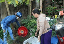 Lý thuyết Sinh 11 Kết nối tri thức Bài 10: Tuần hoàn ở động vật