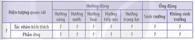 Lý thuyết Sinh 11 Kết nối tri thức Bài 16: Thực hành: Cảm ứng ở thực vật