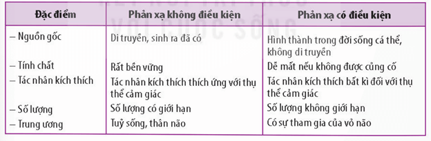 Lý thuyết Sinh 11 Kết nối tri thức Bài 17: Cảm ứng ở động vật
