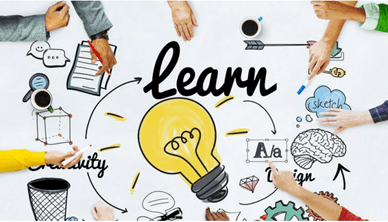Lý thuyết Sinh 11 Kết nối tri thức Bài 18: Tập tính ở động vật