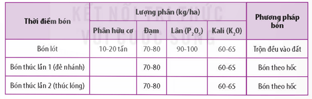 Lý thuyết Sinh 11 Kết nối tri thức Bài 2: Trao đổi nước và khoáng ở thực vật