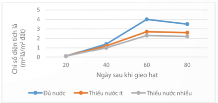 Lý thuyết Sinh 11 Kết nối tri thức Bài 20: Sinh trưởng và phát triển ở thực vật