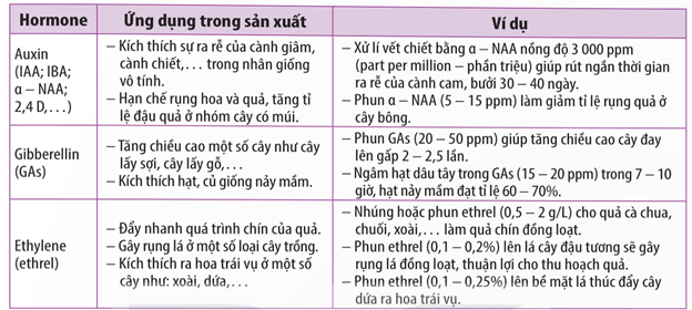 Lý thuyết Sinh 11 Kết nối tri thức Bài 20: Sinh trưởng và phát triển ở thực vật