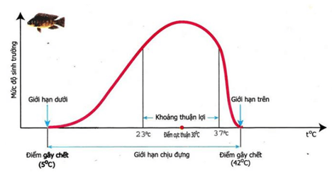 Lý thuyết Sinh 11 Kết nối tri thức Bài 22: Sinh trưởng và phát triển ở động vật