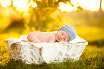 Lý thuyết Sinh 11 Kết nối tri thức Bài 22: Sinh trưởng và phát triển ở động vật