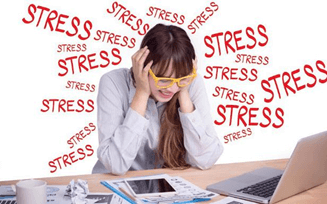 Lý thuyết Sinh 11 Kết nối tri thức Bài 27: Sinh sản ở động vật