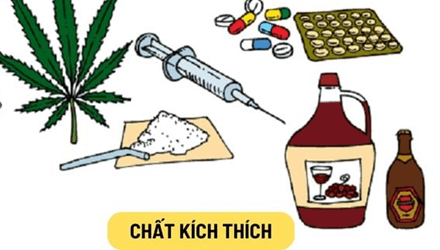 Lý thuyết Sinh 11 Kết nối tri thức Bài 27: Sinh sản ở động vật