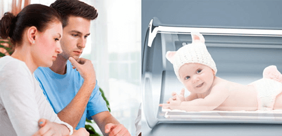 Lý thuyết Sinh 11 Kết nối tri thức Bài 27: Sinh sản ở động vật