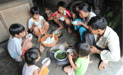 Lý thuyết Sinh 11 Kết nối tri thức Bài 27: Sinh sản ở động vật