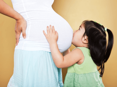 Lý thuyết Sinh 11 Kết nối tri thức Bài 27: Sinh sản ở động vật