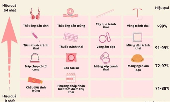 Lý thuyết Sinh 11 Kết nối tri thức Bài 27: Sinh sản ở động vật