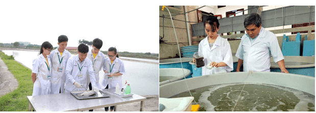 Lý thuyết Sinh 11 Kết nối tri thức Bài 29: Một số ngành nghề liên quan đến sinh học cơ thể