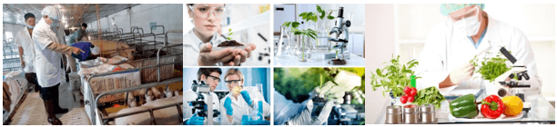 Lý thuyết Sinh 11 Kết nối tri thức Bài 29: Một số ngành nghề liên quan đến sinh học cơ thể