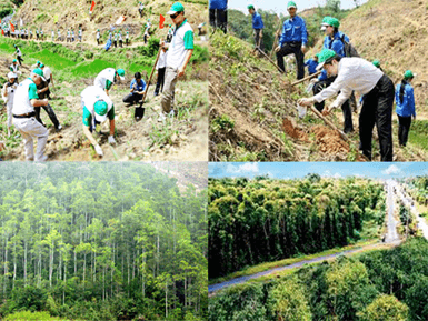 Lý thuyết Sinh 11 Kết nối tri thức Bài 29: Một số ngành nghề liên quan đến sinh học cơ thể
