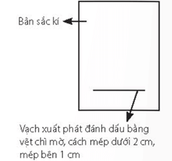 Lý thuyết Sinh 11 Kết nối tri thức Bài 5: Thực hành: Quang hợp ở thực vật