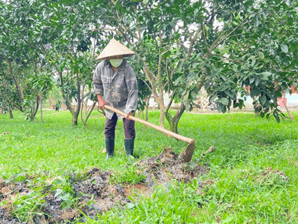 Lý thuyết Sinh 11 Kết nối tri thức Bài 6: Hô hấp ở thực vật