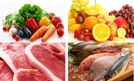 Lý thuyết Sinh 11 Kết nối tri thức Bài 8: Dinh dưỡng và tiêu hóa ở động vật
