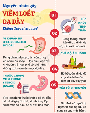 Lý thuyết Sinh 11 Kết nối tri thức Bài 8: Dinh dưỡng và tiêu hóa ở động vật