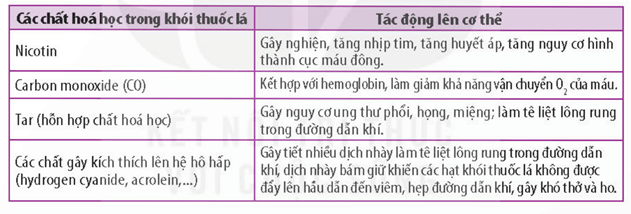 Lý thuyết Sinh 11 Kết nối tri thức Bài 9: Hô hấp ở động vật