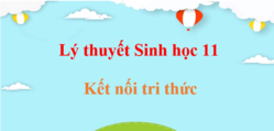 Lý thuyết Sinh 11 Kết nối tri thức (hay, ngắn gọn) | Kiến thức trọng tâm Sinh học 11