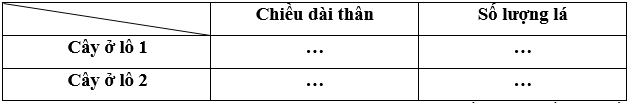 Nhận xét về sự sinh trưởng của các cây ở lô 1 và lô 2 trang 64 Sinh học 12