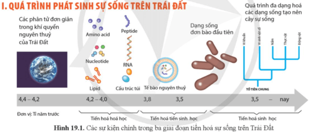 Quan sát hình 19.1 và mô tả tóm tắt về các giai đoạn phát sinh sự sống trên Trái Đất