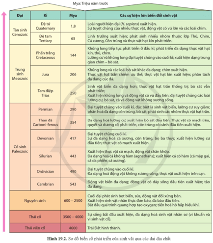 Quan sát hình 19.2, nêu một số biến cố lớn thể hiện sự phát sinh và phát triển của sinh vật