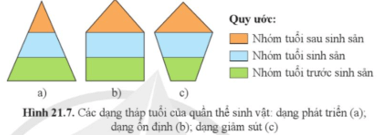 Quan sát hình 21.7, nêu sự khác biệt của ba dạng hình tháp tuổi trang 124 Sinh học 12